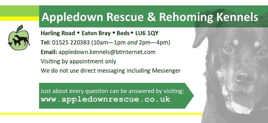 Appledown Rescue and Rehoming Kennels